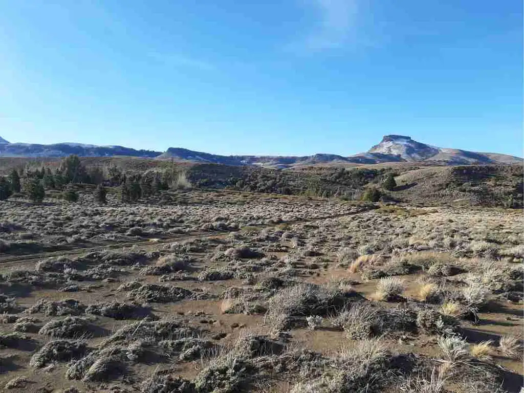 Foto de Lote de 5400 m2 en Lago Huechulafquen - Junín de los Andes, imagen 5