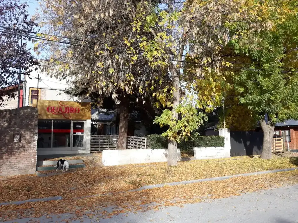 Foto de Casa más Local más Monoambiente en Planta Alta en el centro de Junín de, imagen 2