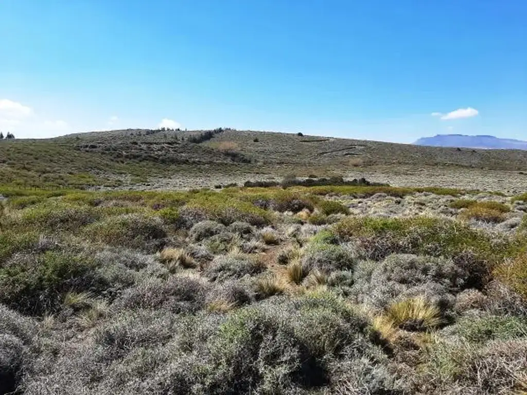 Foto de Lote de 2780 m2 con hermosas vistas en Lago Huechulafquen, imagen 1