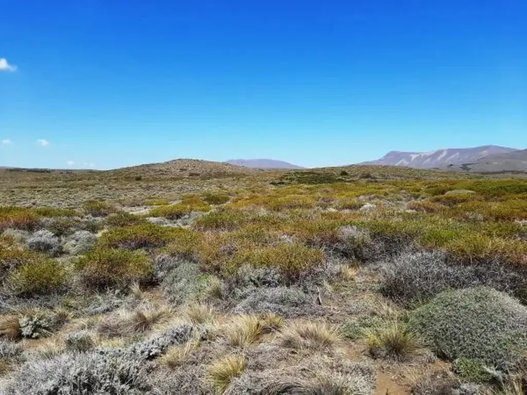 Foto de Lote de 2780 m2 con hermosas vistas en Lago Huechulafquen, imagen 2