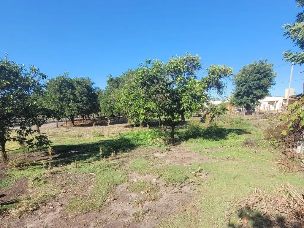 Foto de Casa a restaurar en Puerto Yeruá, imagen 4