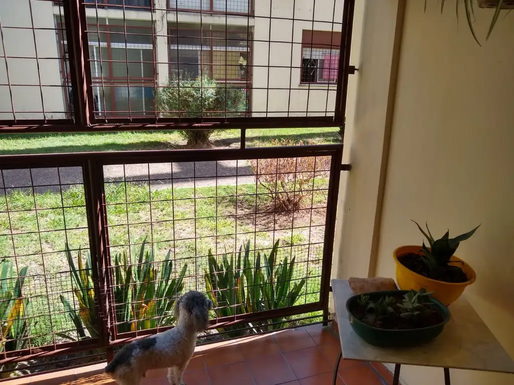 Foto de Depto. 4 amb. B. MASCIAS - VENTA, imagen 5