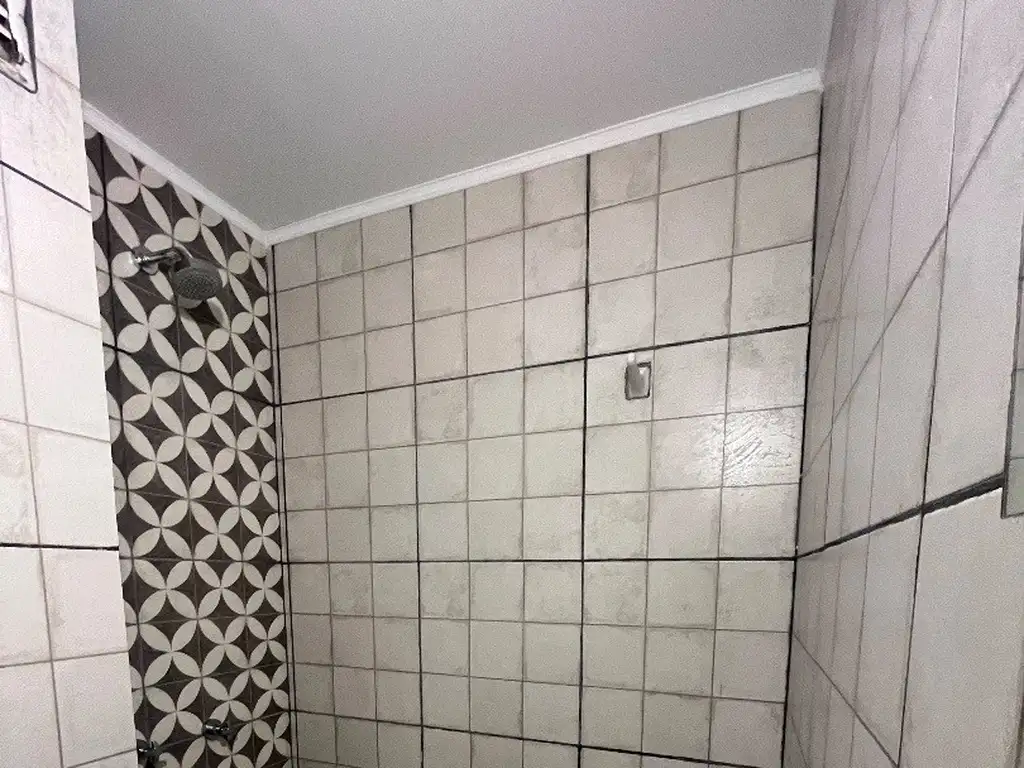 Foto de MONOAMBIENTE ECONOMICO, SE ENTREGA ELECTRICO, ZONA CENTRO, imagen 5