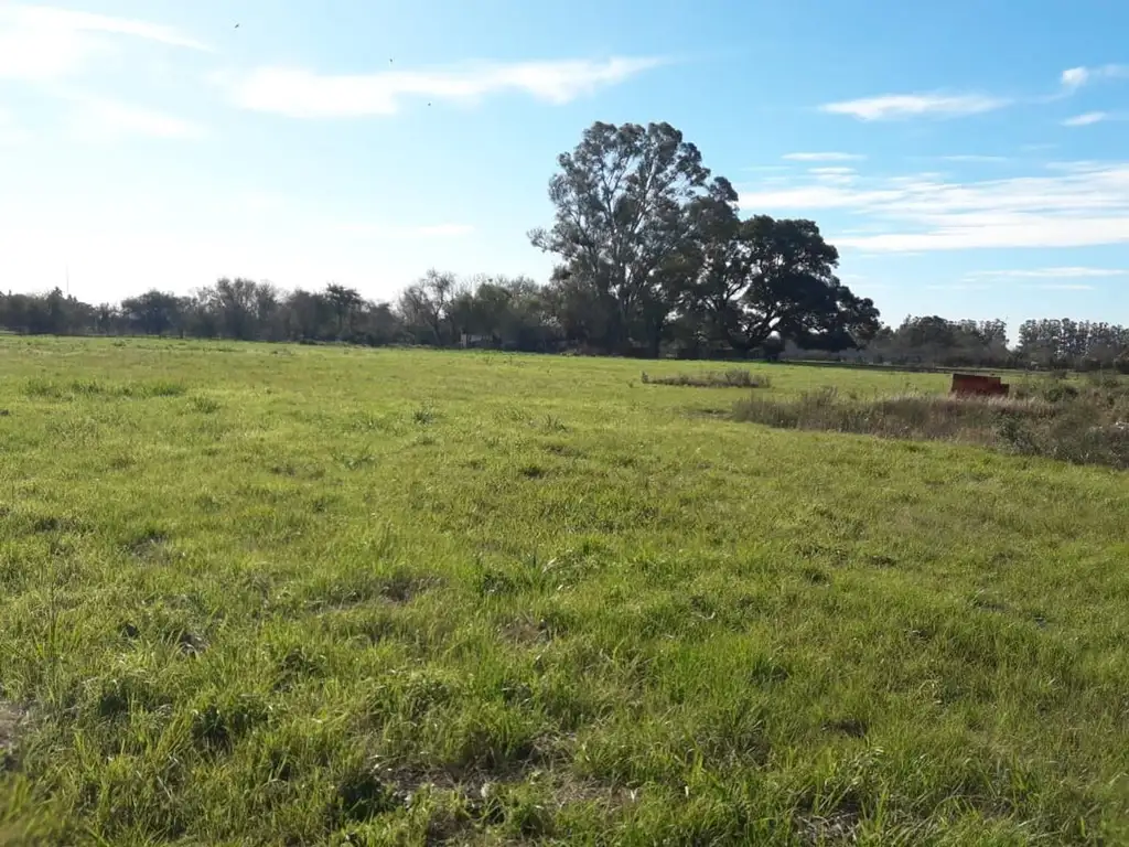 Foto de QUINTA EN ZONA RURAL SAN PEDRO, imagen 5