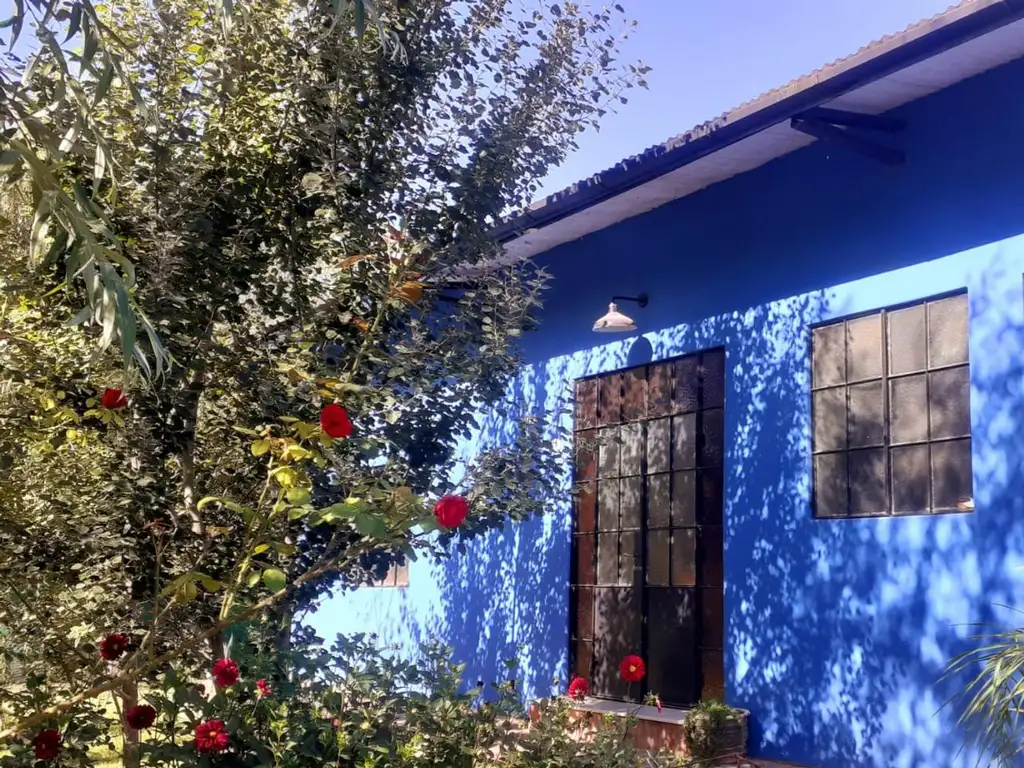 Foto de Venta casa 4 ambientes Gowland, imagen 3
