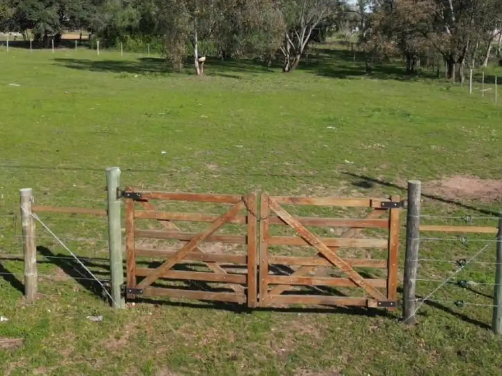 Foto de Amplio lote en excelente ubicación, imagen 4