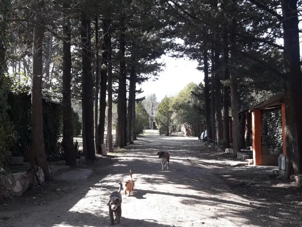 Foto de VENTA DE COMPLEJO CON COMERCIO EN LOS HORNILLOS TRASLASIERRA, imagen 5