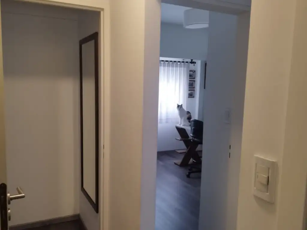 Foto de DEPARTAMENTO 4 AMBIENTES // SAN CRISTOBAL //, imagen 3