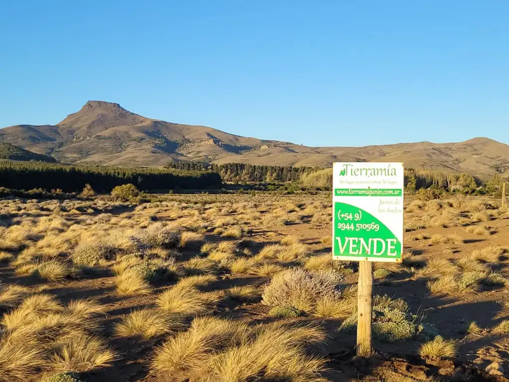 Foto de Lote con costa de río 1604 m2. a la rivera Río Chimehuín – Junín de los, imagen 2
