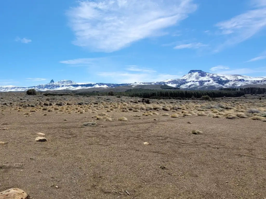 Foto de Lote con costa de río 1604 m2. a la rivera Río Chimehuín – Junín de los, imagen 5
