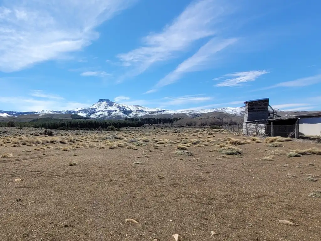 Foto de Lote con costa de río 1604 m2. a la rivera Río Chimehuín – Junín de los, imagen 4