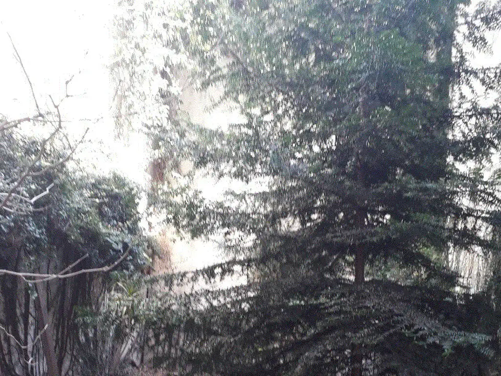 Foto de Oficina Departamento Apto Profesional con Jardín Bauness 2500 Villa, imagen 3