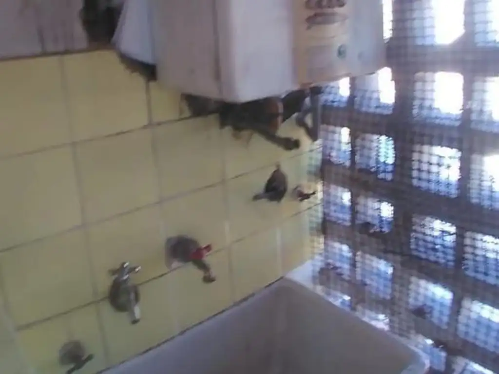 Foto de 3 AMBIENTES Y BAULERA. EXCELENTE UBICACION, imagen 2