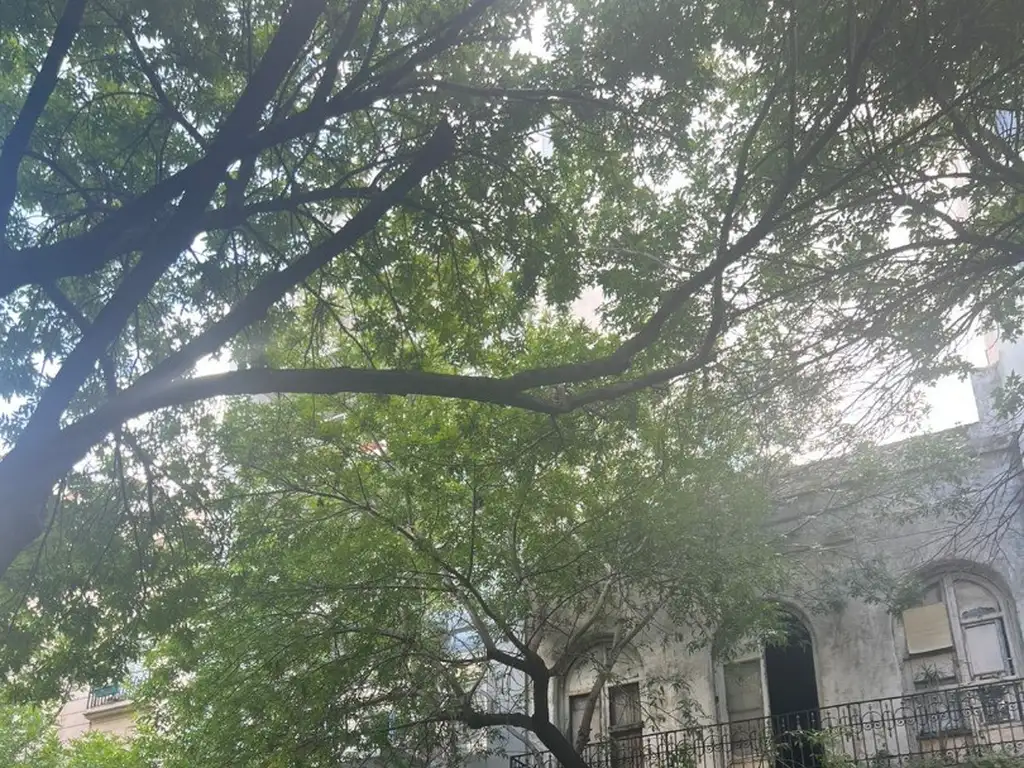 Foto de Lote en San Telmo. Oportunidad?!!, imagen 2