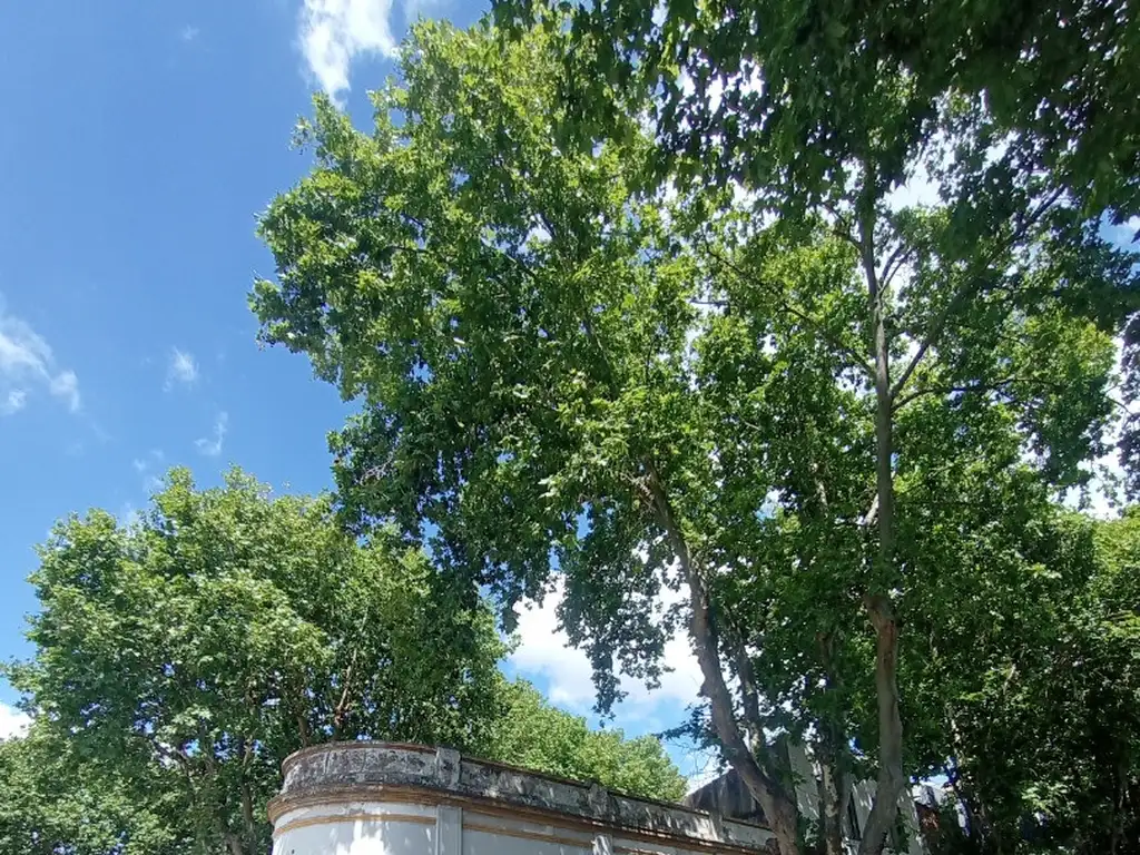 Foto de HERMOSA ESQUINA, CASA+LOCAL, LOTE PROPIO SOBRE 3 CALLES. AV BRUIX Y AV, imagen 5