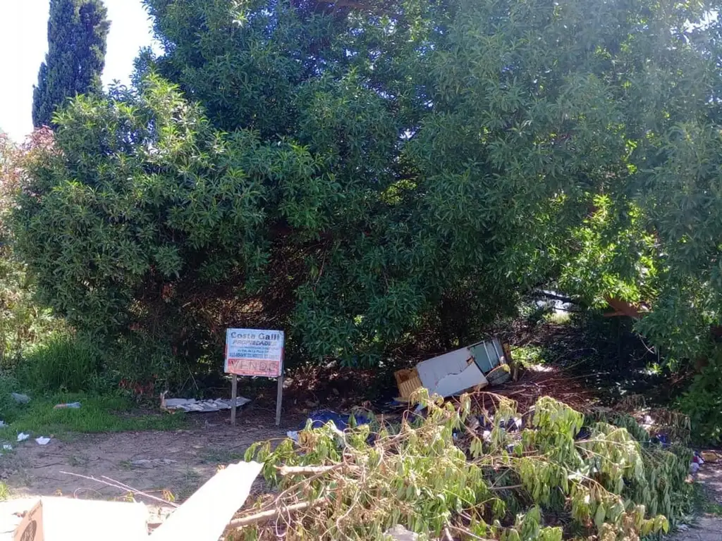 Foto de Venta Lote en Parque Independencia., imagen 1