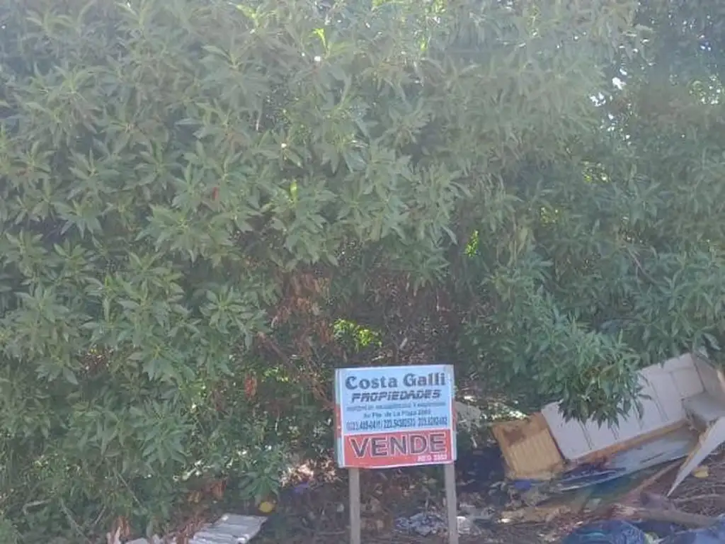 Foto de Venta Lote en Parque Independencia., imagen 3