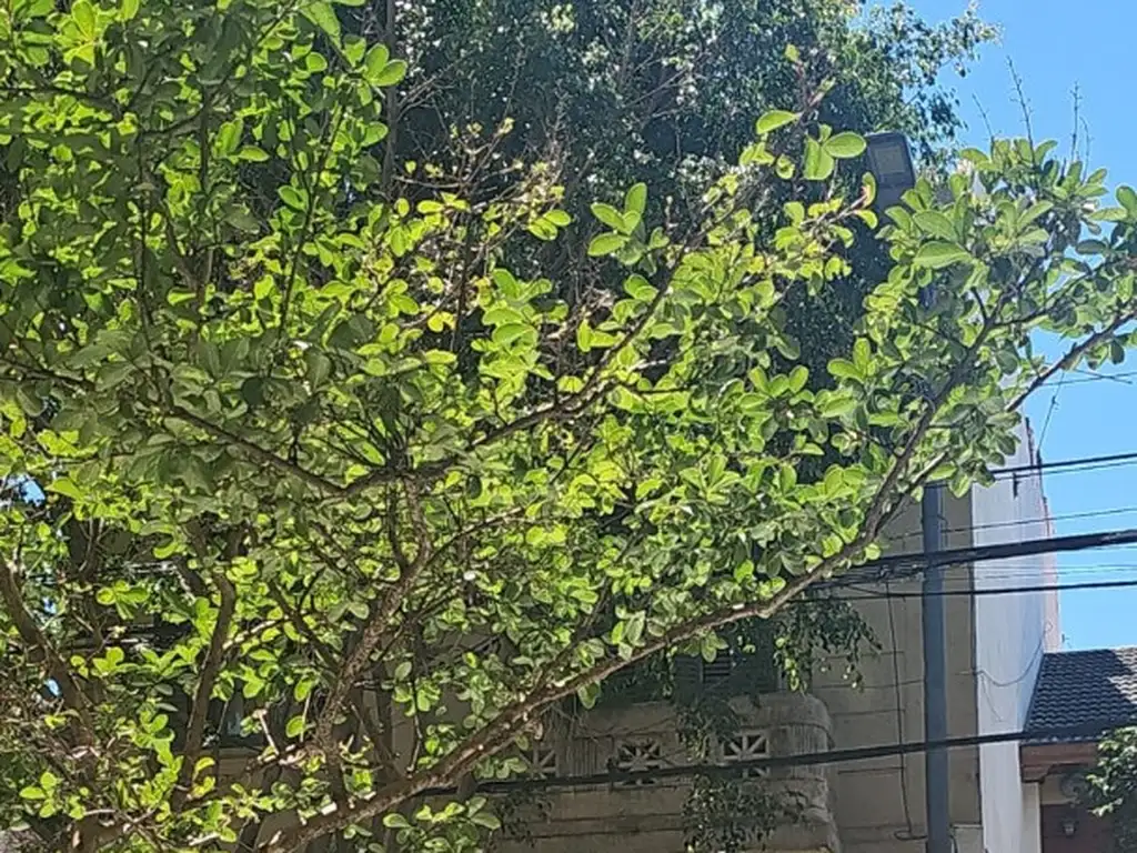 Foto de Local con vivienda y depósito a para refacción total, imagen 1