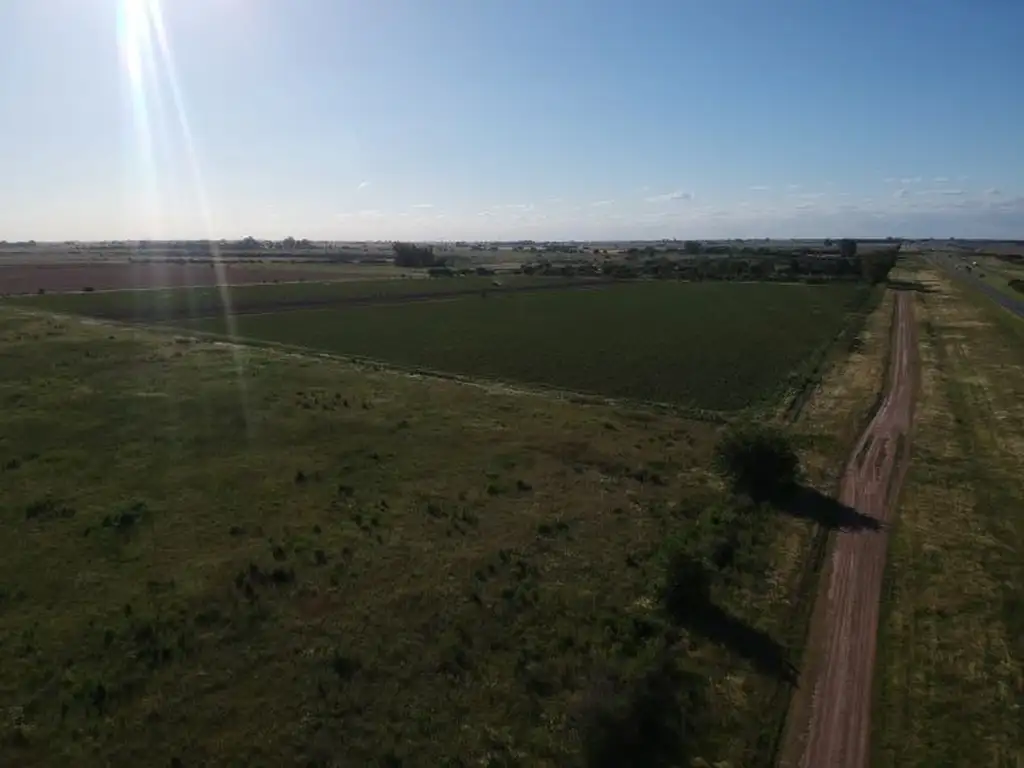 Foto de Terreno Autopista Rosario - Buenos Aires (Arroyo Seco, imagen 4