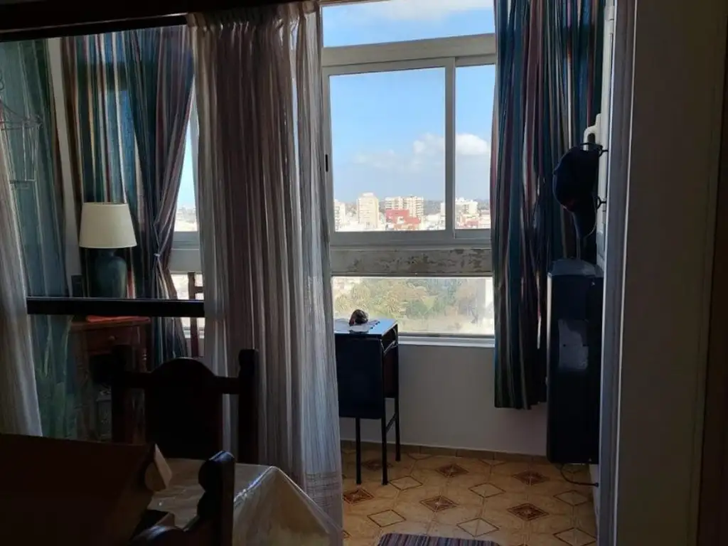 Foto de Venta Departamento Mar del Plata. Peatonal San Martín, entre Avenida, imagen 4