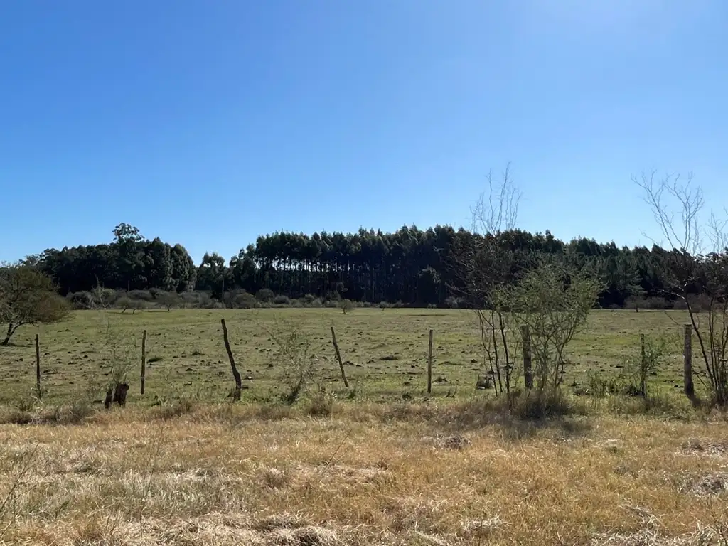 Foto de Lote 660m², imagen 3