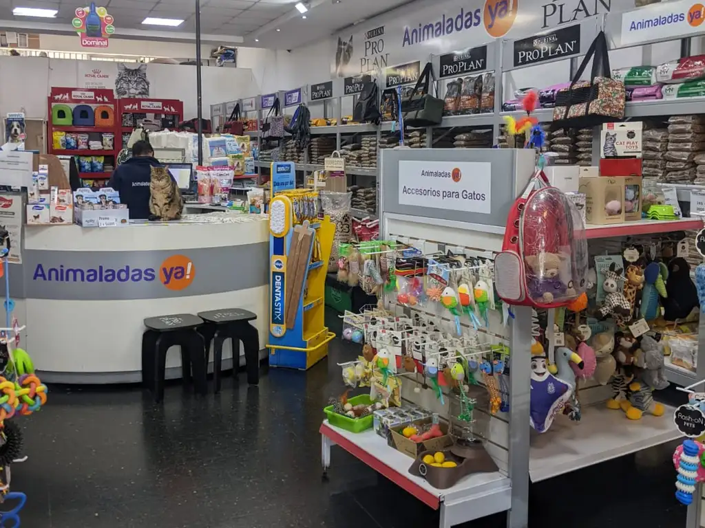 Foto de LOCAL ZONA COMERCIAL, imagen 2
