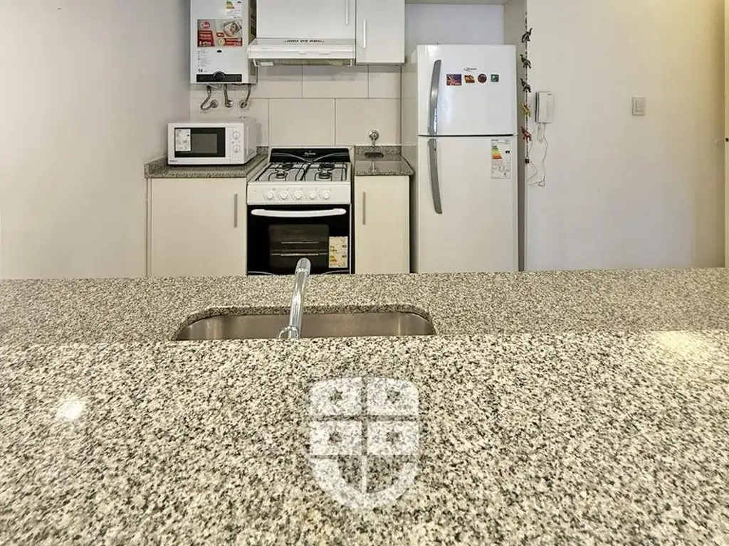 Foto de GRAN DEPARTAMENTO DE UN DORMITORIO AMUEBLADO ARROYITO, imagen 5