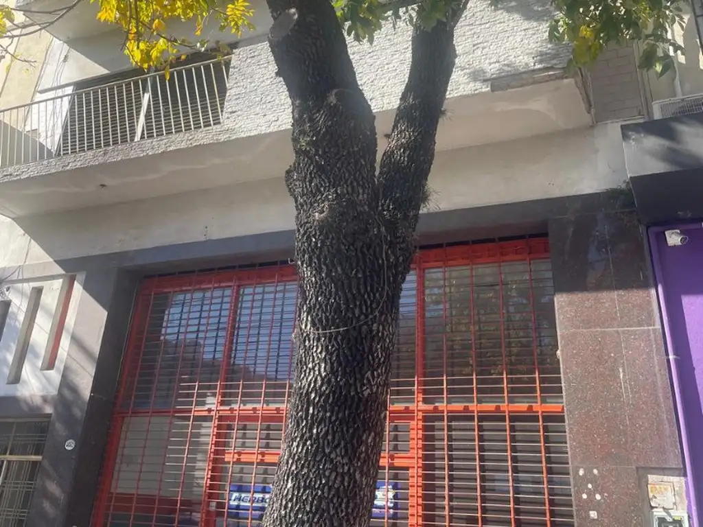 Foto de EDIFICIO EN BLOCK 510 M2 EN 3 PLANTAS CON ASCENSOR, imagen 4