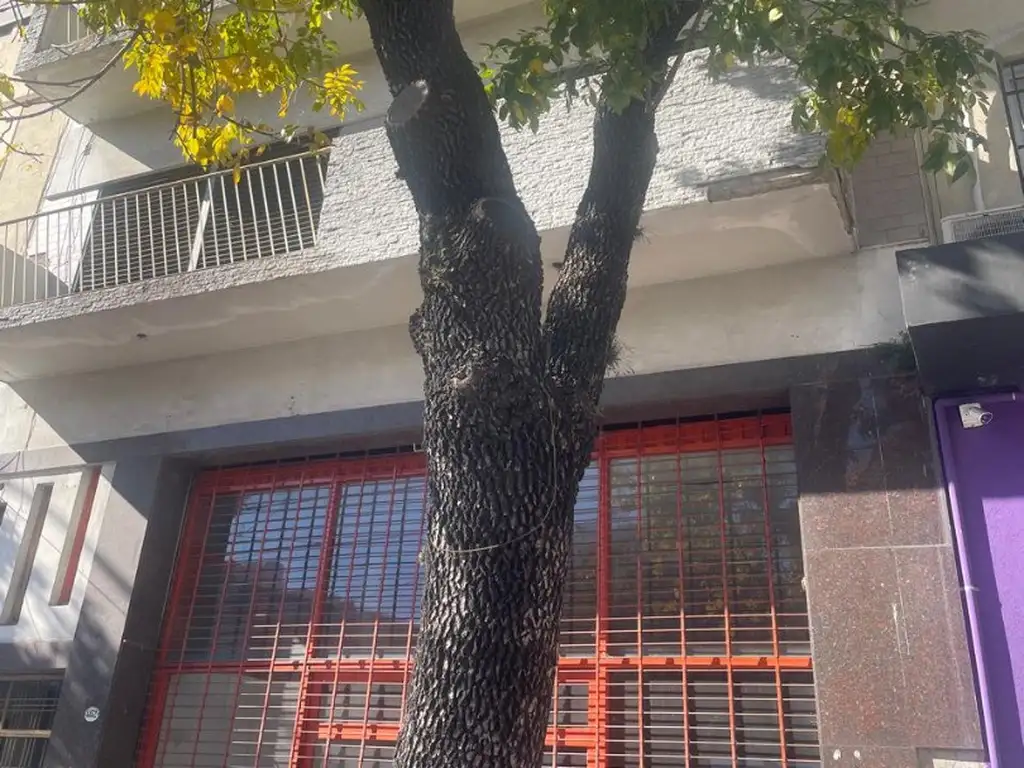 Foto de LOCAL SOBRE AV. ALBERDI 4800 y vivienda multifamiliar, imagen 4