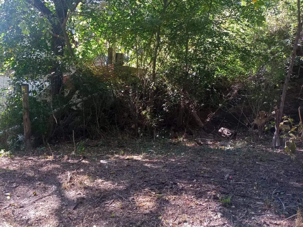 Foto de Vendo Lote en Balcón del Lago, imagen 3