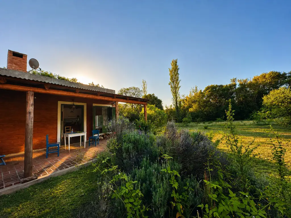 Foto de Casa en venta en Las Chacras - Valle de Traslasierras, imagen 3