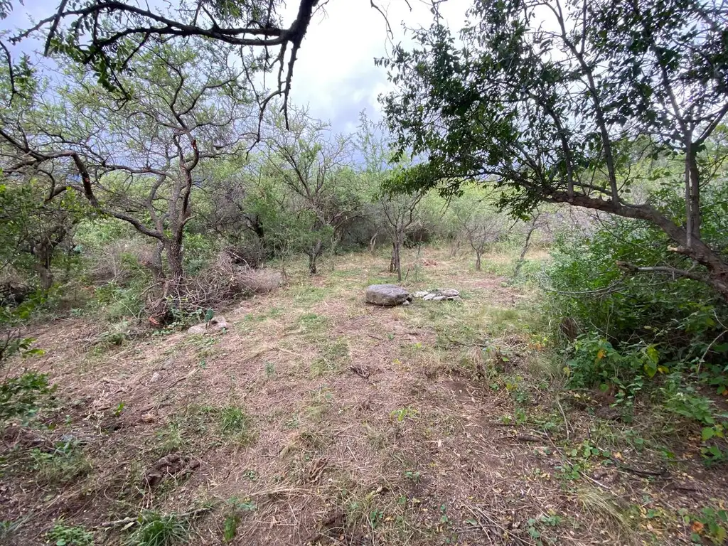 Foto de Fracción en venta en Las Chacras Arriba - Valle de Traslasierras, imagen 5