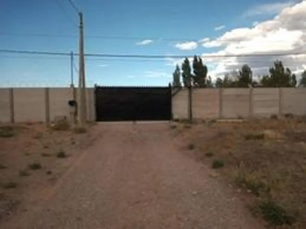 Foto de ALQUILER 3700 m2 P. INDUST. NEUQUÉN, imagen 3