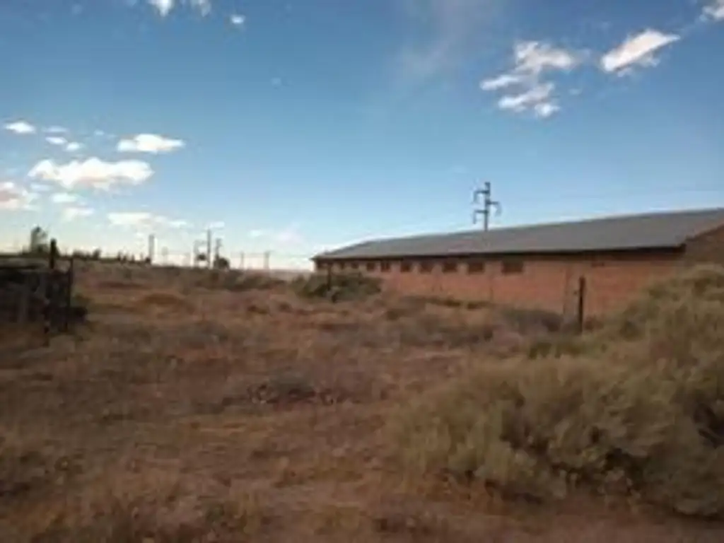 Foto de ALQUILER 3700 m2 P. INDUST. NEUQUÉN, imagen 4