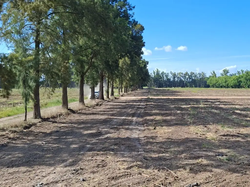 Foto de Venta terrenos desde 950 m2 en zarate, imagen 2