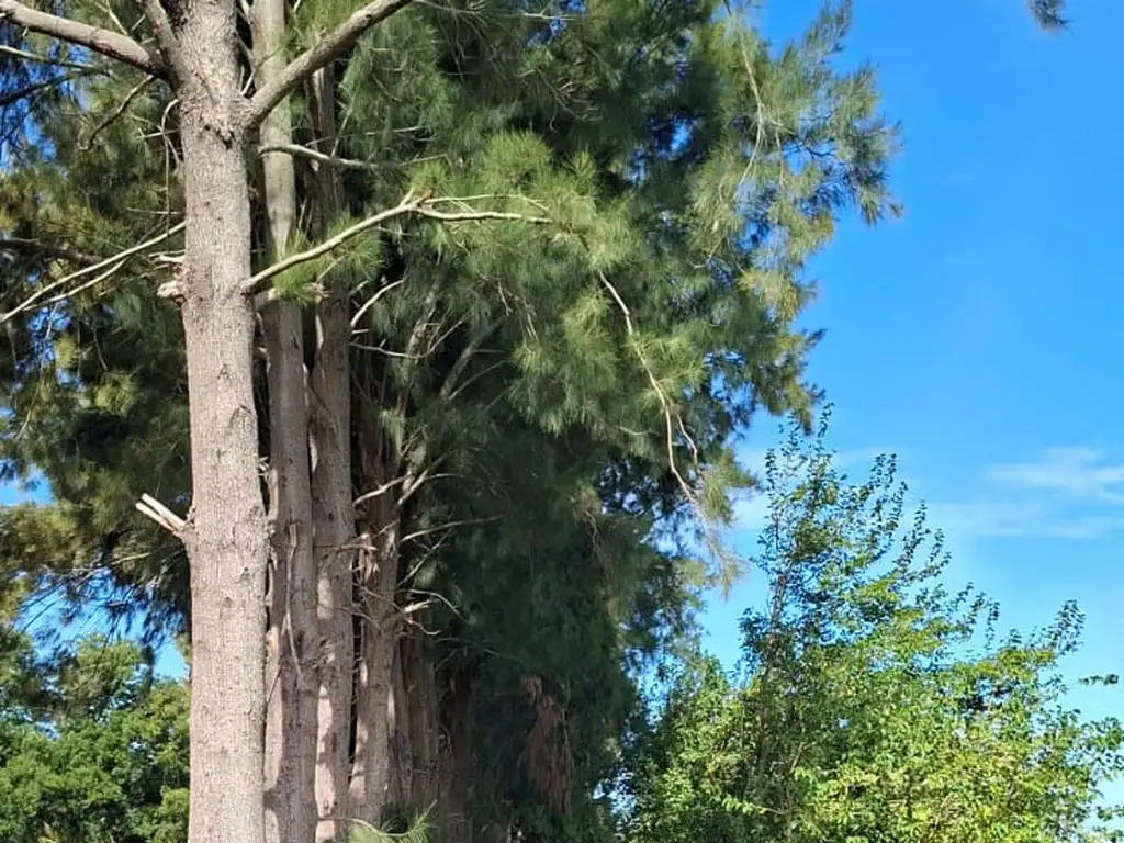 Foto de Venta terrenos desde 950 m2 en zarate, imagen 4