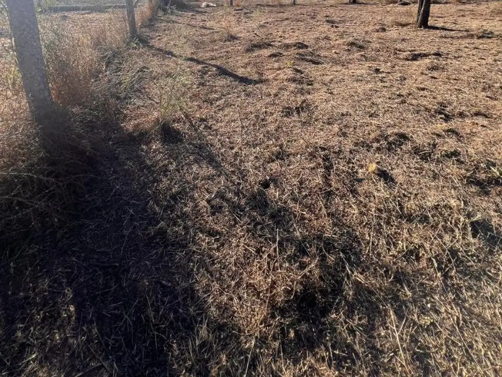 Foto de LOTE EN BARRIO LAS ROSAS 2, JUANA KOSLAY, SAN LUIS, imagen 3