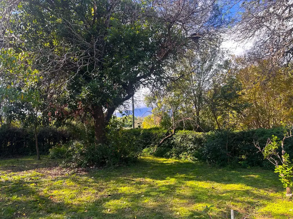 Foto de Oportunidad unica en Las Chacras - Valle de Traslasierras, imagen 5