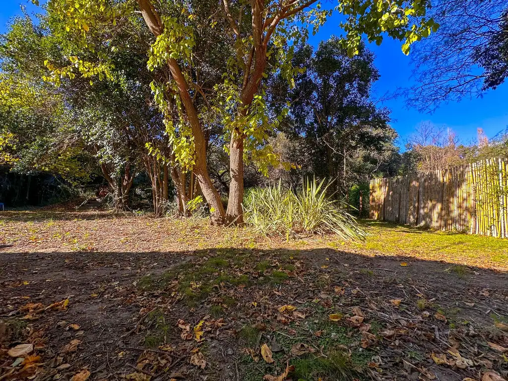 Foto de CASA " CARPINCHO AROMATICO" EN VENTA, imagen 4