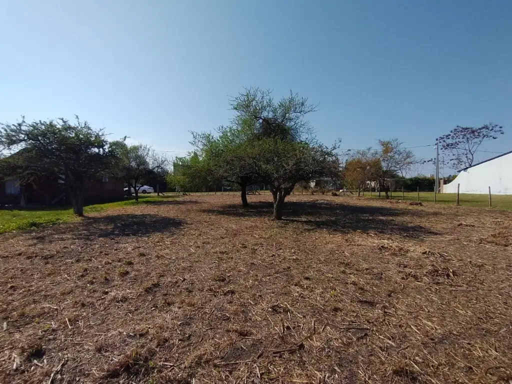 Foto de Terreno en venta próximo a Termas de Federación, imagen 2