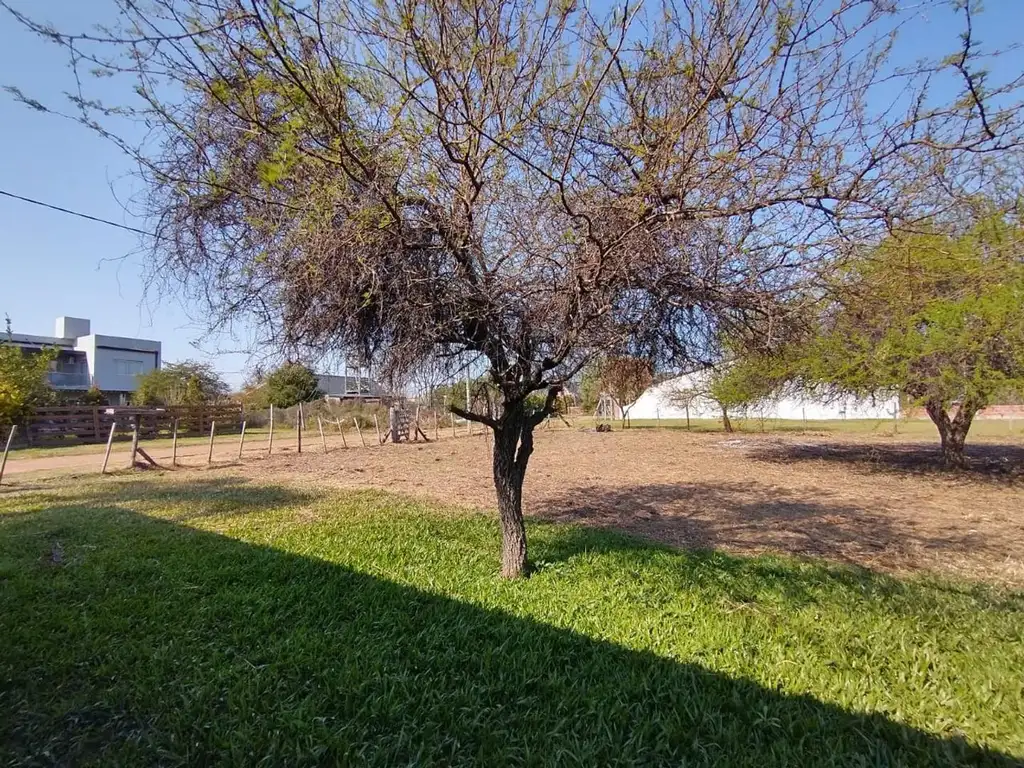 Foto de Terreno en venta próximo a Termas de Federación, imagen 4