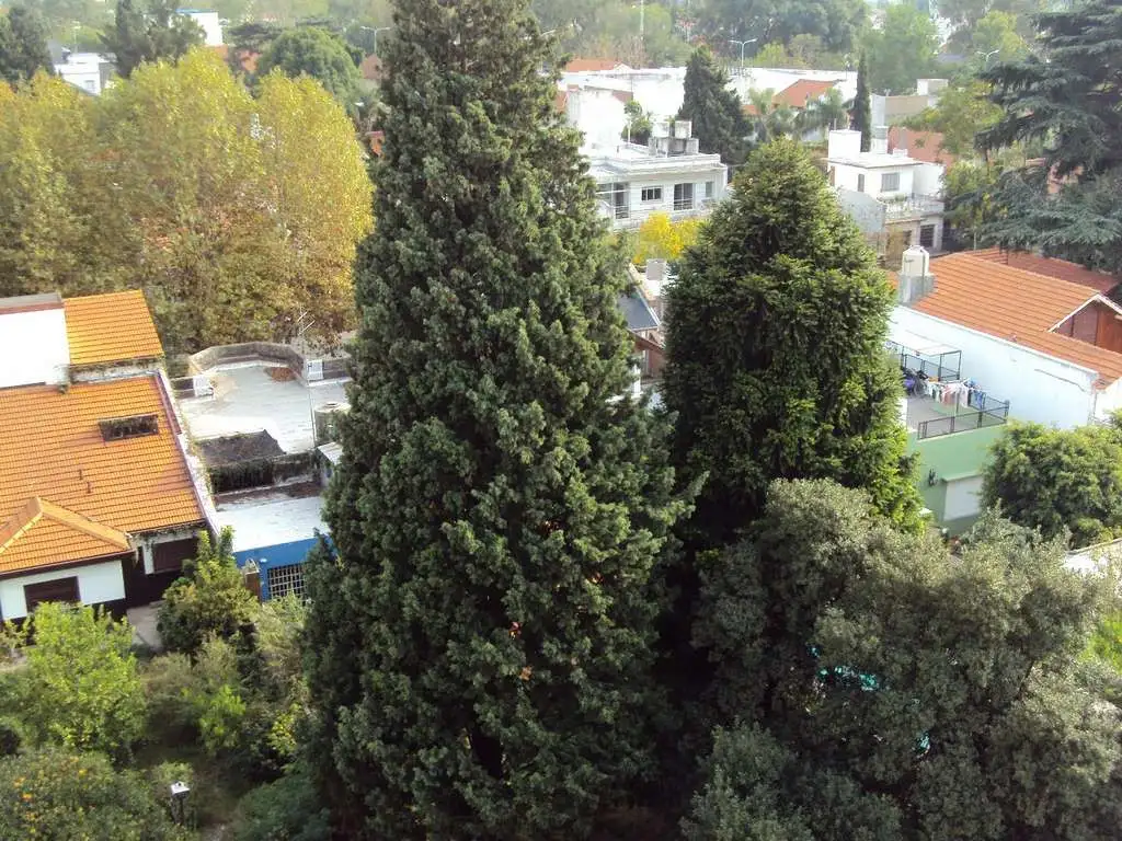 Foto de Vendo Dto 2 ambiente , SUM completamente equipado, baños, parrilla, imagen 5