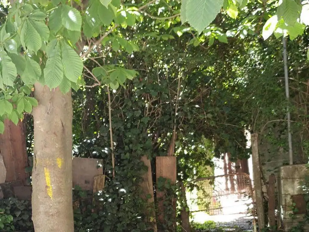 Foto de VENTA LOTE 25X25 COLINA ALEGRE PEQUEÑA EDIFICCION, imagen 3