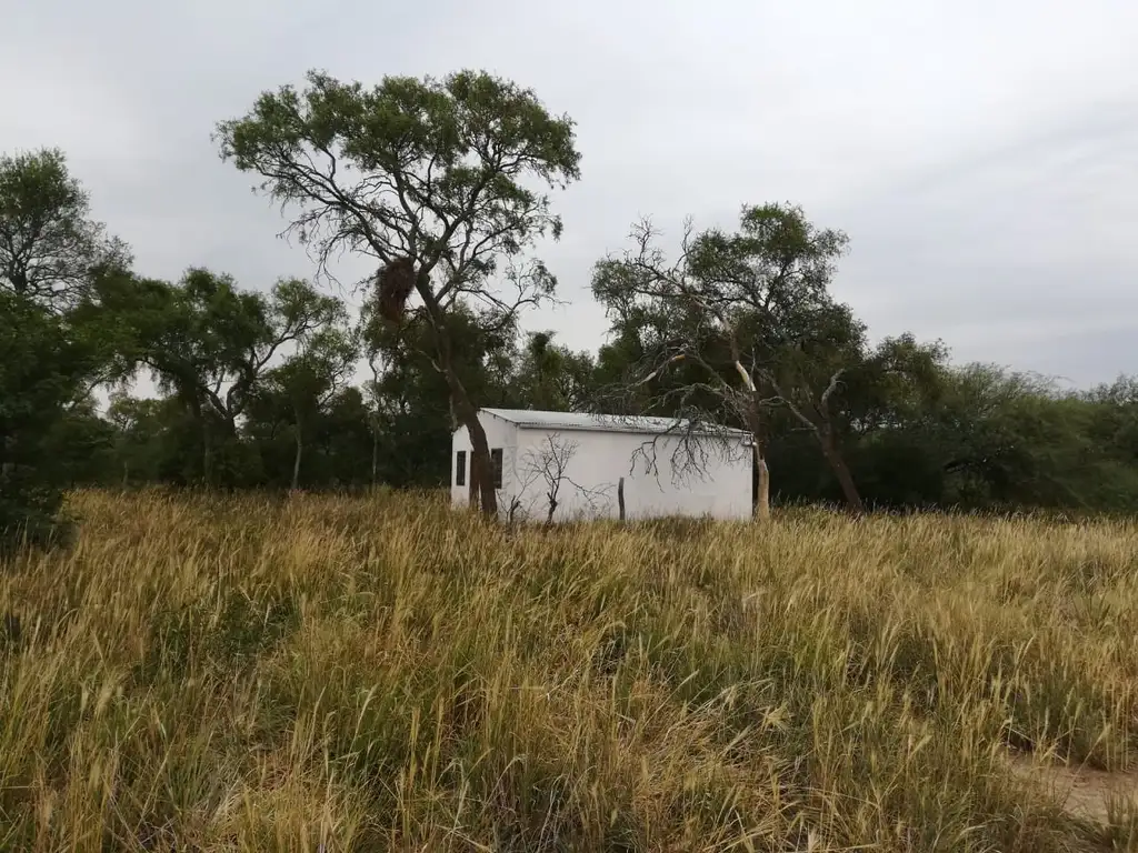 Foto de alquiler campo Cazares (Santiago del Estero) 250-330 hectáreas para, imagen 1