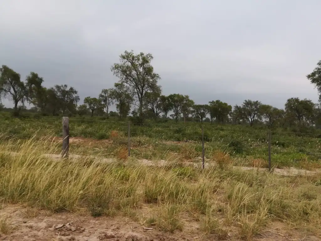 Foto de alquiler campo Cazares (Santiago del Estero) 250-330 hectáreas para, imagen 2