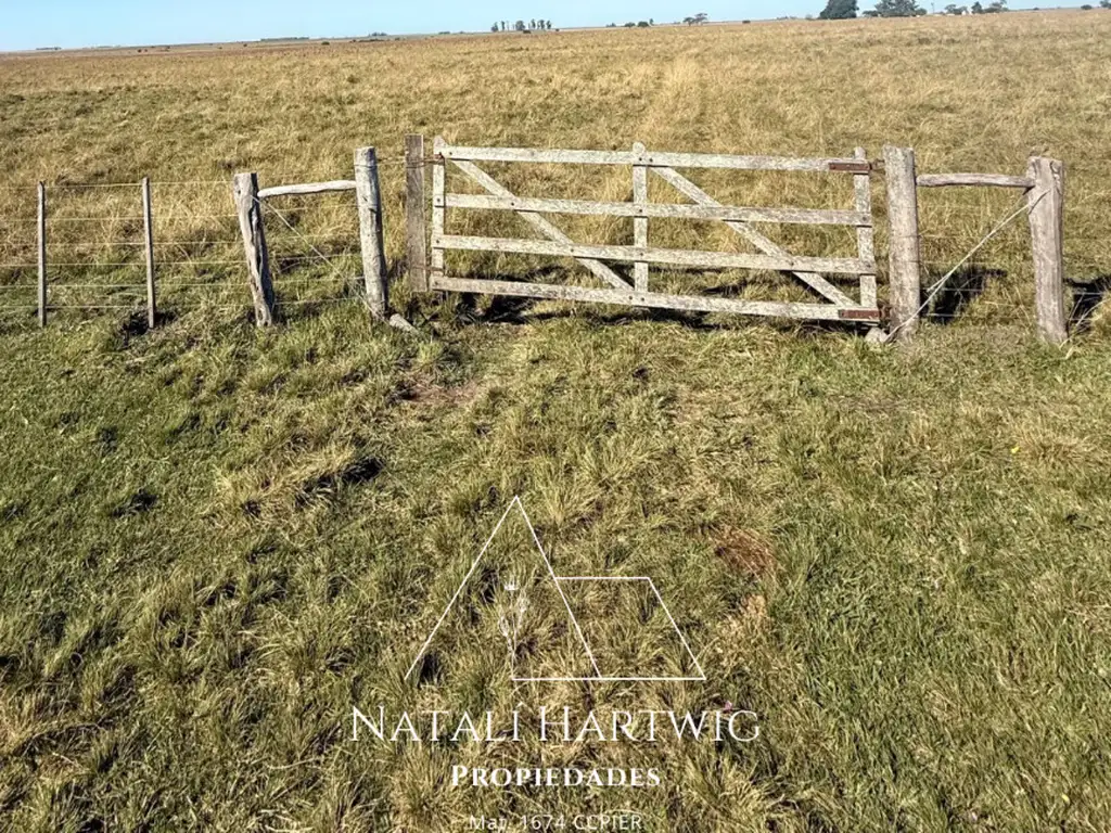 Foto de Campo Agrícola Ganadero, imagen 4