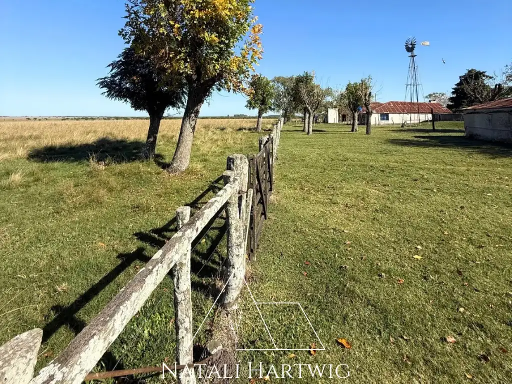 Foto de Campo Agrícola Ganadero, imagen 1