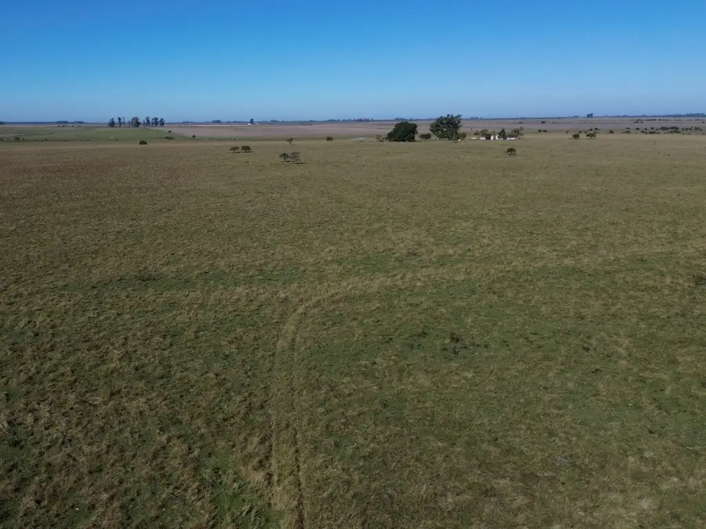 Foto de Campo Agrícola Ganadero, imagen 5