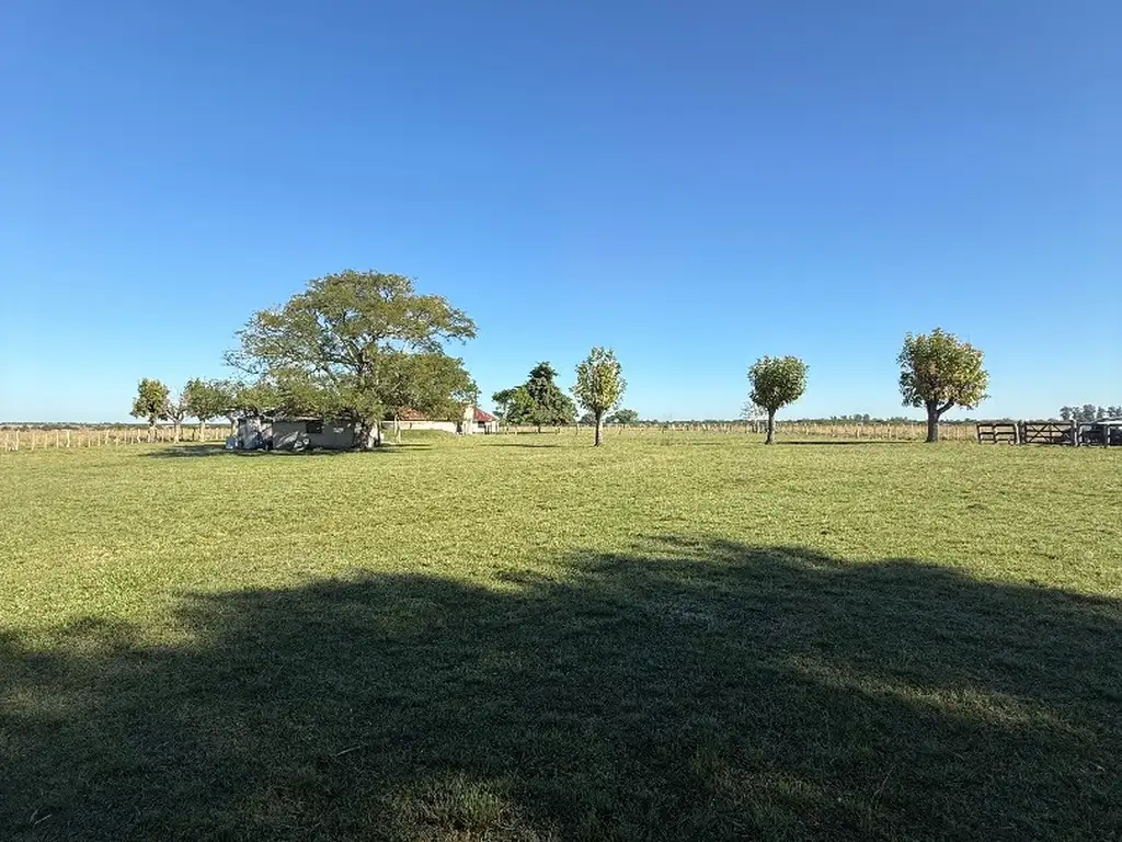 Foto de Campo Agrícola Ganadero, imagen 2