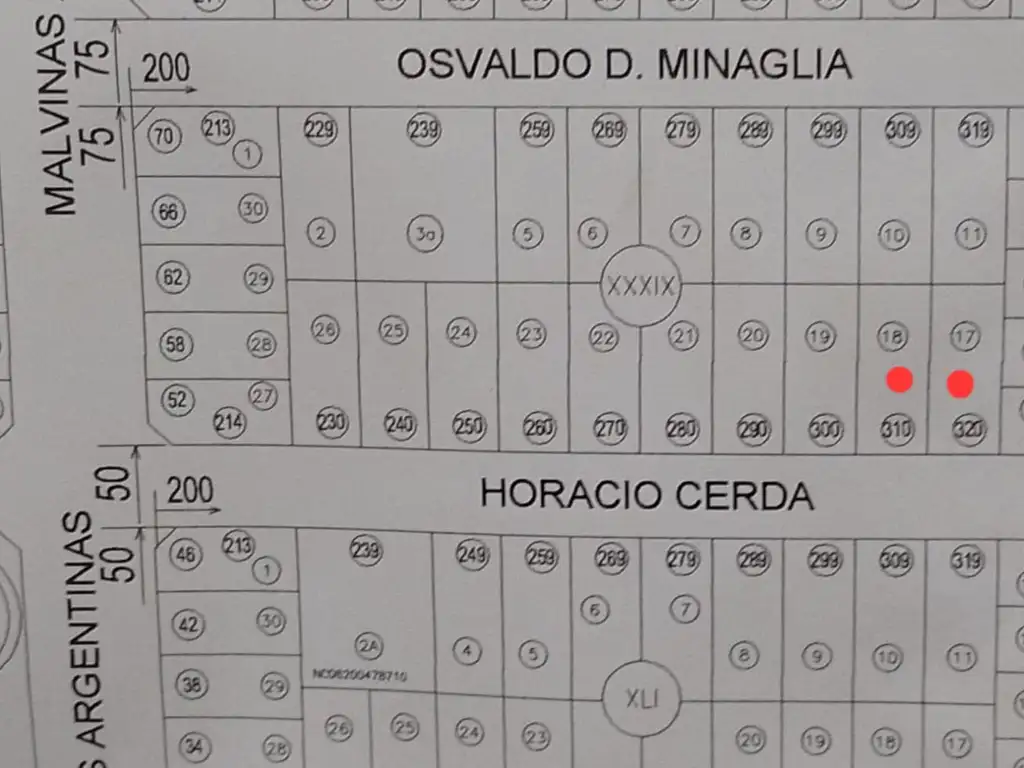 Foto de Terreno en venta en San Patricio Del Chañar, imagen 2